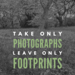 Take only photos